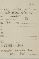 零零香藏品圖，第2張