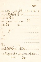 腺梗豨薟藏品圖，第2張