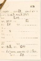 白頂飛蓬藏品圖，第2張