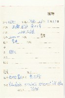 四葉紅景天藏品圖，第2張