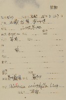 美葉藏菊藏品圖，第2張