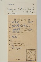 扶芳藤藏品圖，第2張