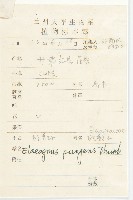 胡頹子藏品圖，第2張