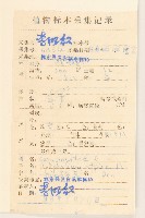 鼠麴草藏品圖，第2張