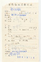 黃鵪菜藏品圖，第2張