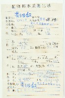 冬桃藏品圖，第2張