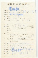 篱打碗花藏品圖，第2張