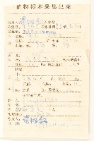 黃菀藏品圖，第2張