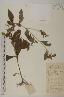 登錄號:S134912藏品圖，第1張