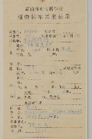 光葉兔兒風藏品圖，第2張