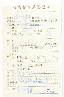 鈕子瓜藏品圖，第2張