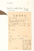 蔓黃菀藏品圖，第2張