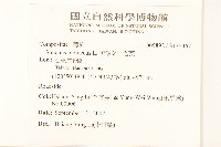 苦滇菜、苦菜藏品圖，第2張