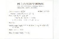 番仔藤藏品圖，第2張