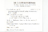 馬鞍藤藏品圖，第2張