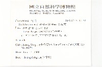 蟛蜞菊藏品圖，第2張