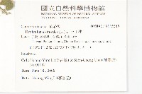 土丁桂藏品圖，第2張