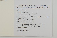 玉山抱莖籟簫藏品圖，第2張