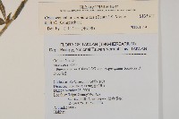 昭和草藏品圖，第2張