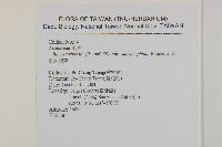 大頭艾納香藏品圖，第2張