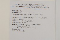 石胡荽、吐金草藏品圖，第2張