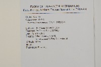 佩羅特木藏品圖，第2張