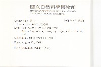 刺萵苣藏品圖，第2張