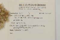 登錄號:S135937藏品圖，第2張