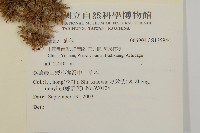 登錄號:S135944藏品圖，第2張