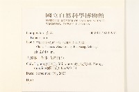 登錄號:S135952藏品圖，第2張