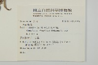 登錄號:S135956藏品圖，第2張