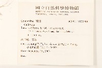 登錄號:S135964藏品圖，第2張