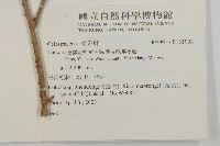 登錄號:S135992藏品圖，第2張