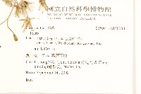 登錄號:S136006藏品圖，第2張