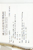 登錄號:S136026藏品圖，第2張