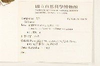 登錄號:S136028藏品圖，第2張