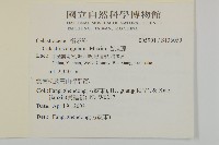 苦皮藤藏品圖，第2張