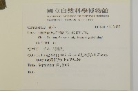 登錄號:S136071藏品圖，第2張