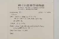 登錄號:S136080藏品圖，第2張