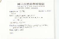 登錄號:S136104藏品圖，第2張