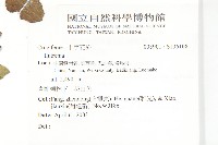 登錄號:S136108藏品圖，第2張