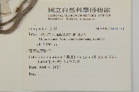 登錄號:S136111藏品圖，第2張