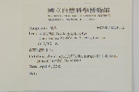 登錄號:S136112藏品圖，第2張