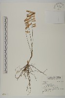 登錄號:S136182藏品圖，第1張