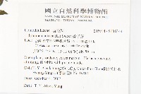 番仔藤藏品圖，第2張