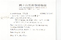 野牽牛藏品圖，第2張