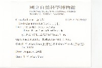 土丁桂藏品圖，第2張