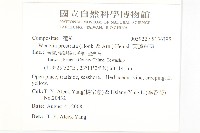 天蓬草舅藏品圖，第2張