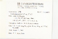 天人菊藏品圖，第2張