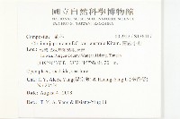 南國小薊藏品圖，第2張
